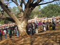 school-kalolsavam (1)